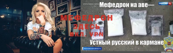стаф Аркадак