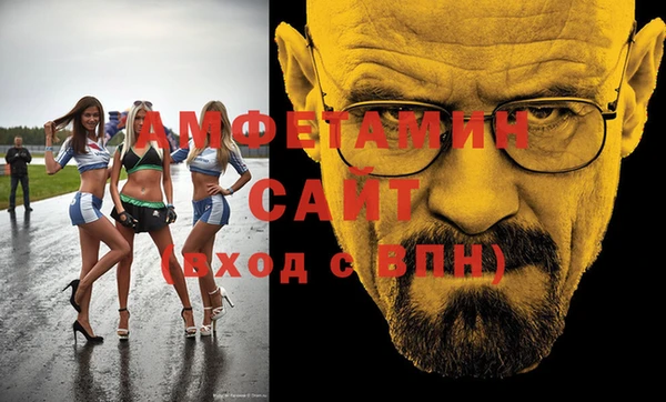 стаф Аркадак