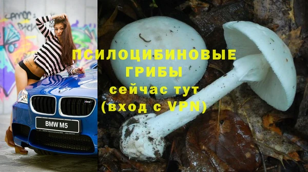 прущие крисы Арсеньев