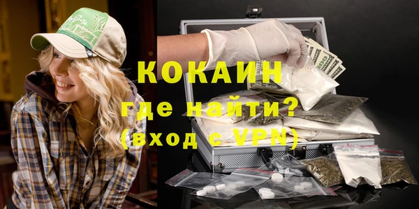 стаф Аркадак