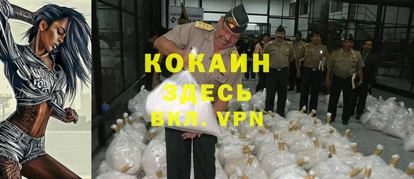 стаф Аркадак