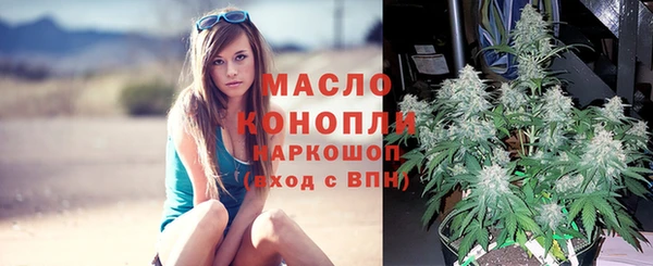 прущие крисы Арсеньев