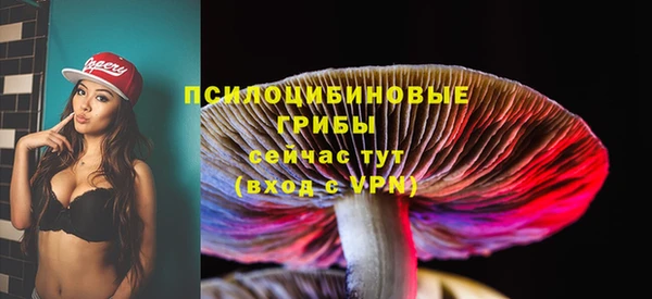 прущие крисы Арсеньев