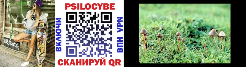 Галлюциногенные грибы Psilocybine cubensis  Козьмодемьянск 