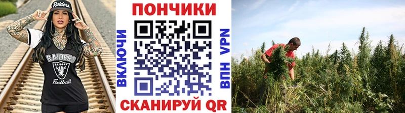Марихуана тримм  Козьмодемьянск 